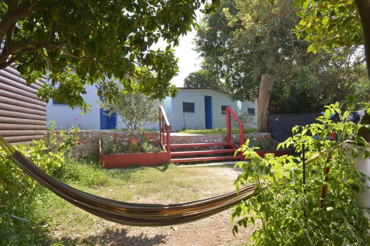 Glamping Rooms At The Sea Turtle Dhërmi Kültér fotó